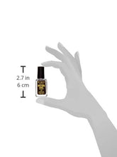 Load image into Gallery viewer, Cabot Labs Musk Oil 1/2 oz.