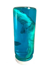 Load image into Gallery viewer, Real Shark in a Bottle Jar, Marine Specimen Taxidermy, Fishing, Jaws