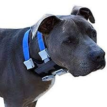 Load image into Gallery viewer, Cesar Millan Pack Leader Collar™ - Training Collar of The Dog Whisperer (Large, Grey)