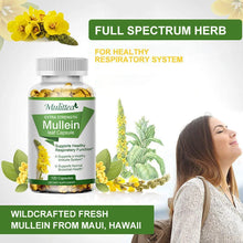 Load image into Gallery viewer, New Mulittea Mullein Leaf Capsules 1000mg Support Lung Cleanse Capsules