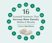 Load image into Gallery viewer, AlgaeCal - Bone Builder Pack for Bone Density Increase, Clinically Supported Plant Based Calcium Supplement &amp; Strontium, Vitamins K2 (100mg), D3 (1600 IU), Magnesium &amp; 16 Essential nutrients