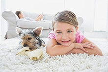 Load image into Gallery viewer, Capture Carpet &amp; Rug Dry Cleaner w/Resealable lid - Home, Car, Dogs &amp; Cats Pet Carpet Cleaner Solution - Strength Odor Eliminator, Stains Spot Remover, Non Liquid &amp; No Harsh Chemical (4 Pound)