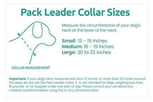Load image into Gallery viewer, Cesar Millan Pack Leader Collar™ - Training Collar of The Dog Whisperer (Large, Grey)