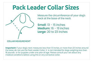 Cesar Millan Pack Leader Collar™ - Training Collar of The Dog Whisperer (Large, Grey)