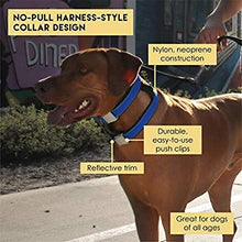 Load image into Gallery viewer, Cesar Millan Pack Leader Collar™ - Training Collar of The Dog Whisperer (Large, Grey)