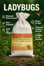 Load image into Gallery viewer, 1500 Live Ladybugs for Garden | Hippodamia Convergens | Ladybugs Live | Net Bag