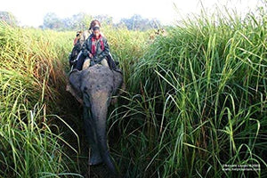 Elephant Grass Seeds - Tallest Grass in The World - Ships from Iowa, Made in USA (5,000 Seeds)