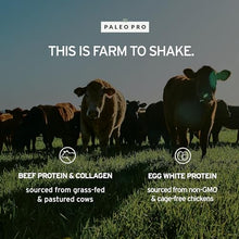 Load image into Gallery viewer, Paleo Pro Beef Protein Powder - Grass Fed Protein Powder Isolate - Pure Animal Based Pastured &amp; Cage-Free | Dairy &amp; Gluten Free, Natural and Clean Proteins for Paleo &amp; Keto - 15 Days Supply (Cacao)