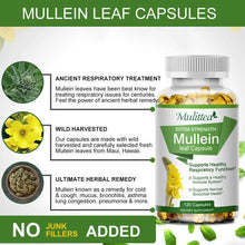Load image into Gallery viewer, New Mulittea Mullein Leaf Capsules 1000mg Support Lung Cleanse Capsules
