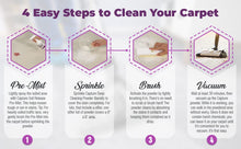 Load image into Gallery viewer, Capture Carpet &amp; Rug Dry Cleaner w/Resealable lid - Home, Car, Dogs &amp; Cats Pet Carpet Cleaner Solution - Strength Odor Eliminator, Stains Spot Remover, Non Liquid &amp; No Harsh Chemical (4 Pound)