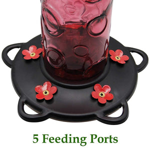 Juegoal 28 oz Glass Hummingbird Feeders for Outdoors, Wild Bird Feeder with 5 Feeding Ports, Metal Handle Hanging for Outdoor Garden Tree Yard, Red