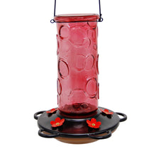 Load image into Gallery viewer, Juegoal 28 oz Glass Hummingbird Feeders for Outdoors, Wild Bird Feeder with 5 Feeding Ports, Metal Handle Hanging for Outdoor Garden Tree Yard, Red