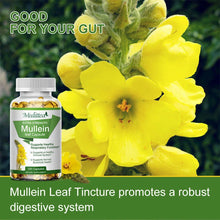 Load image into Gallery viewer, New Mulittea Mullein Leaf Capsules 1000mg Support Lung Cleanse Capsules