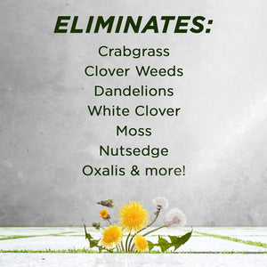 Green Gobbler 20% Vinegar Weed & Grass Killer | Natural & Organic | Concentrated | 1 Gallon Spray | Glyphosate Free Herbicide