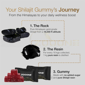 zooone- Pure Himalayan Shilajit Gummies – Premium Shilajit for Men & Women, Energy & Stamina Booster, Supports Immune & Muscle Health – Natural Herbal Blend with Ashwagandha & Black Musli