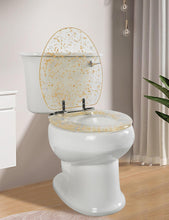 Load image into Gallery viewer, Gold Resin Toilet Seat Elongated with Easy Clean &amp; Change Hinges, Soft Close Quick Release Heavy Duty Toilet Seats with Glitter Cover Acrylic Seats (Elongated 19Inch, Gold Foil, Upgraded hinge)
