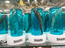 Load image into Gallery viewer, Real Shark in a Bottle Jar, Marine Specimen Taxidermy, Fishing, Jaws