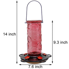 Load image into Gallery viewer, Juegoal 28 oz Glass Hummingbird Feeders for Outdoors, Wild Bird Feeder with 5 Feeding Ports, Metal Handle Hanging for Outdoor Garden Tree Yard, Red