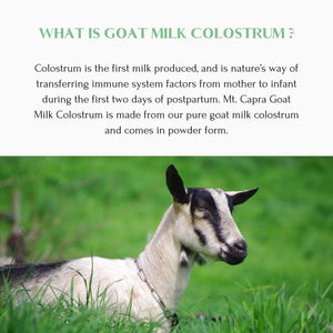 Mt. Capra Goat Milk Colostrum | for Healthy Immune System, Gut, and Athletic Performance | Grass-Fed, High in Immunoglobulins | 60 Servings - 174 Grams