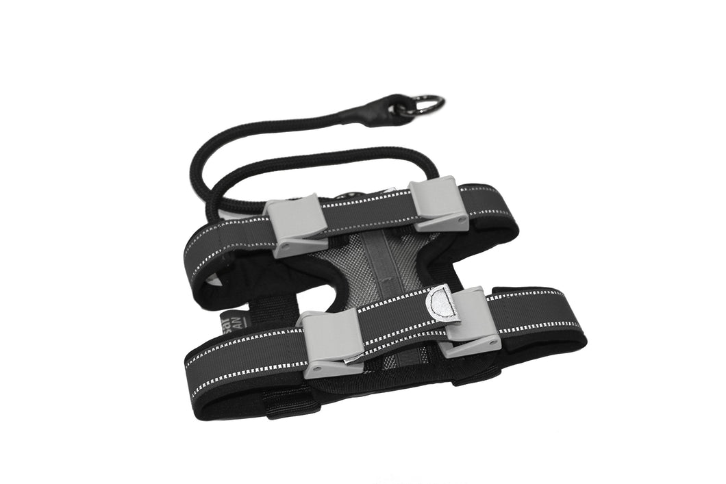 Cesar Millan Pack Leader Collar™ - Training Collar of The Dog Whisperer (Large, Grey)