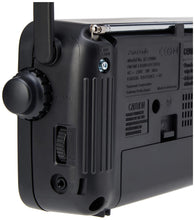 Load image into Gallery viewer, Panasonic RF-2400DEG Portable Radio FM
