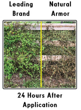 Load image into Gallery viewer, Natural Armor Weed and Grass Killer All-Natural Concentrated Formula. Contains No Glyphosate (128 OZ. Gallon)