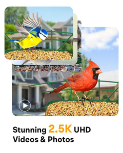 Metal Smart Bird Feeder with Camera – Solar Powered, AI Bird Identification & 2.5K HD Auto Capture Videos, Arrival Notifications, 2.1L Capacity & 100% Durable Design