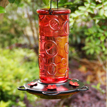 Load image into Gallery viewer, Juegoal 28 oz Glass Hummingbird Feeders for Outdoors, Wild Bird Feeder with 5 Feeding Ports, Metal Handle Hanging for Outdoor Garden Tree Yard, Red