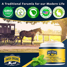 Load image into Gallery viewer, Amish Origins Arthritis Pain Relief Cream - 14 oz - Maximum Strength Deep Penetrating for Joint, Muscle, Knee, Back, Feet, Hand, Ankle, Aches (14 Fl Oz (Pack of 1))