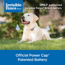 Load image into Gallery viewer, Invisible Fence Power Cap Battery (1 Pack) Electric Fence Battery Replacement Original IFB Product, Electric Collar for Dogs