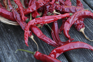 100 USDA Certified Organic Sichuan Chili Pepper Seeds, Er Jing Tiao, Product of the USA, Non GMO, 二荆条辣椒