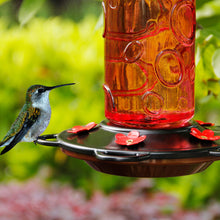 Load image into Gallery viewer, Juegoal 28 oz Glass Hummingbird Feeders for Outdoors, Wild Bird Feeder with 5 Feeding Ports, Metal Handle Hanging for Outdoor Garden Tree Yard, Red