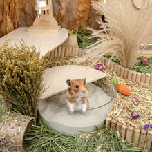 Load image into Gallery viewer, Niteangel Training Litter Potty Sand - Hamster Sand Bath for Syrian Dwarf Hamsters Gerbils Mice Lemming Degus or Other Small-Sized Pets ((1.4 L X 2 - Blue Label)