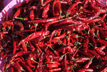 Load image into Gallery viewer, 100 USDA Certified Organic Sichuan Chili Pepper Seeds, Er Jing Tiao, Product of the USA, Non GMO, 二荆条辣椒