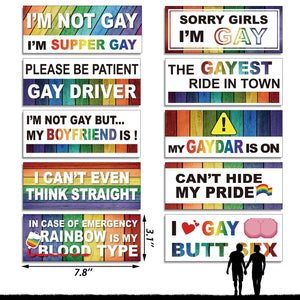 Frienda 10 Pcs Bumper Decals Funny LGBT Stickers Rainbow Bumper Prank Car Stickers Colorful Car Accessories for Truck Vehicle Luggage Window Refrigerator(Magnetic,Stylish Style)