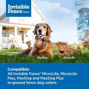 Invisible Fence Power Cap Battery (1 Pack) Electric Fence Battery Replacement Original IFB Product, Electric Collar for Dogs