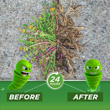 Load image into Gallery viewer, Green Gobbler 20% Vinegar Weed &amp; Grass Killer | Natural &amp; Organic | Concentrated | 1 Gallon Spray | Glyphosate Free Herbicide