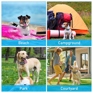2 in 1 GPS Wireless Dog Fence, Dog Training Collar with Remote, Radius from 33 Yards to 1083 Yards, Electric Pet Containment System, Waterproof Collar, Beep Vibration Shock, for Dogs Over 20 Lbs