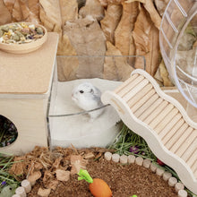Load image into Gallery viewer, Niteangel Training Litter Potty Sand - Hamster Sand Bath for Syrian Dwarf Hamsters Gerbils Mice Lemming Degus or Other Small-Sized Pets ((1.4 L X 2 - Blue Label)