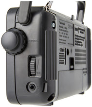 Load image into Gallery viewer, Panasonic RF-2400DEG Portable Radio FM