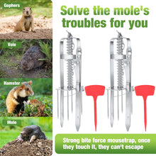 Load image into Gallery viewer, Qualirey 4 Pack Mole Trap Gopher Trap Ground Squirrel Trap Galvanized and Oil Hardened Spear Style Mole Killer Animal Trap Reusable for Lawn Garden Farm (Silver)