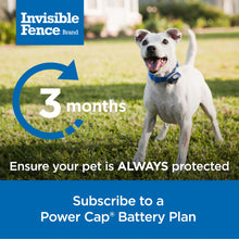 Load image into Gallery viewer, Invisible Fence Power Cap Battery (1 Pack) Electric Fence Battery Replacement Original IFB Product, Electric Collar for Dogs