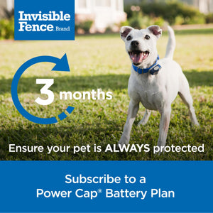 Invisible Fence Power Cap Battery (1 Pack) Electric Fence Battery Replacement Original IFB Product, Electric Collar for Dogs