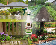 Load image into Gallery viewer, Natural Armor Weed and Grass Killer All-Natural Concentrated Formula. Contains No Glyphosate (128 OZ. Gallon)