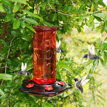 Load image into Gallery viewer, Juegoal 28 oz Glass Hummingbird Feeders for Outdoors, Wild Bird Feeder with 5 Feeding Ports, Metal Handle Hanging for Outdoor Garden Tree Yard, Red