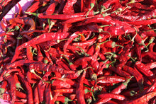 Load image into Gallery viewer, 100 USDA Certified Organic Sichuan Chili Pepper Seeds, Er Jing Tiao, Product of the USA, Non GMO, 二荆条辣椒