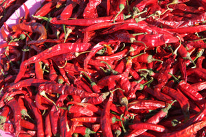 100 USDA Certified Organic Sichuan Chili Pepper Seeds, Er Jing Tiao, Product of the USA, Non GMO, 二荆条辣椒